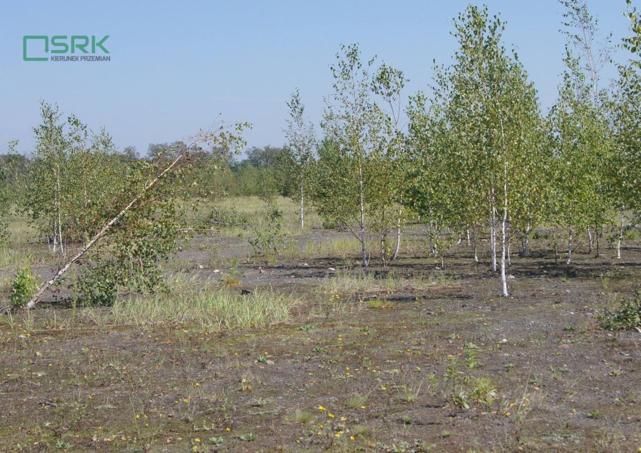 Działka Zabrze Makoszowy, ul. Lubuska. Zdjęcie 4