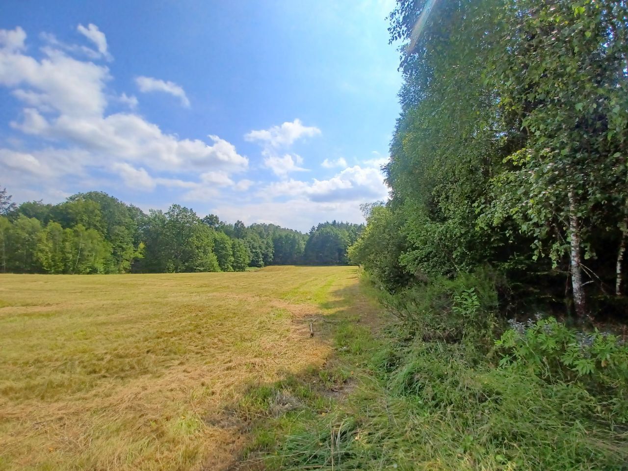 Działka budowlana Kołtki. Zdjęcie 6