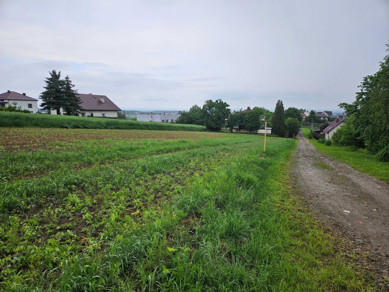 Działka budowlana Bodzanów. Zdjęcie 1