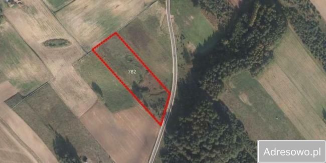Działka rolna Giby. Zdjęcie 4