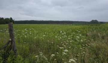 Działka budowlana Pęgów, ul. Leśna