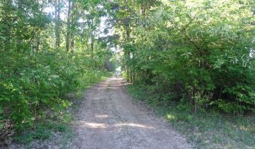 Działka leśna Sułkowo Borowe