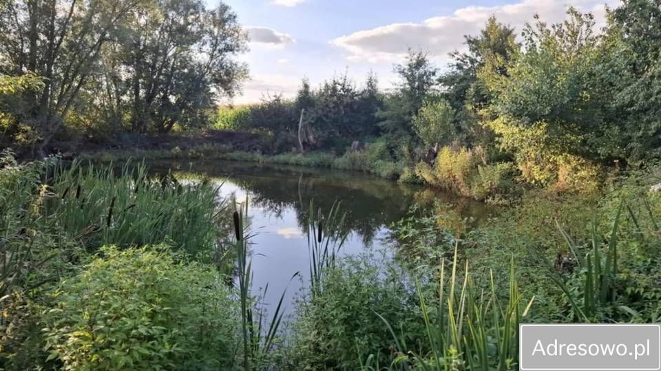 dom wolnostojący Piskorczyn. Zdjęcie 10