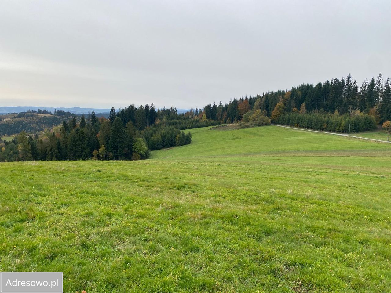 Działka inwestycyjna Jaworzynka Łupienie. Zdjęcie 12