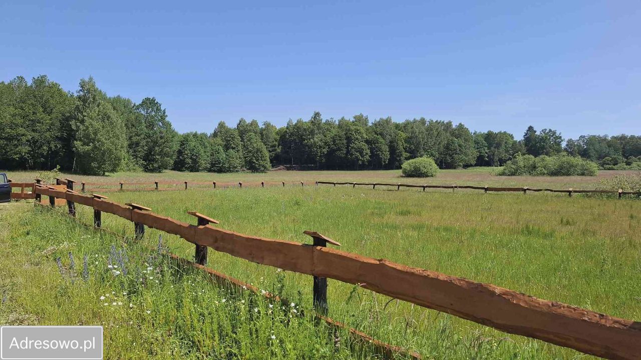 Działka budowlana Dąbrowa. Zdjęcie 13