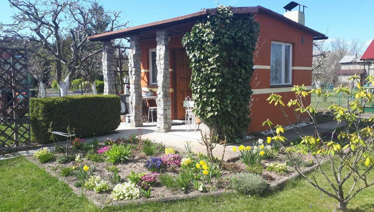 Działka rod Osiek. Zdjęcie 1