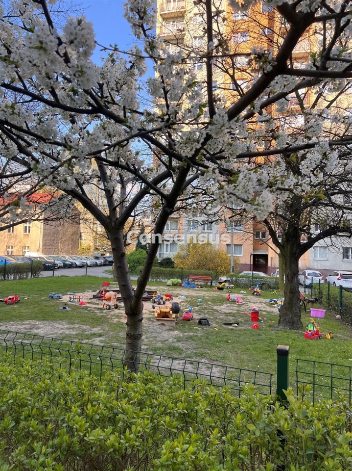 Mieszkanie 3-pokojowe Katowice Józefowiec, ul. Józefowska. Zdjęcie 19