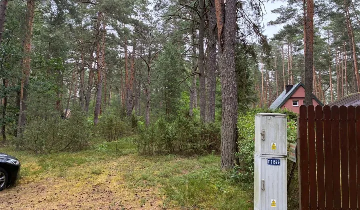 Działka rekreacyjna Popowo-Letnisko, ul. Dzięcioła