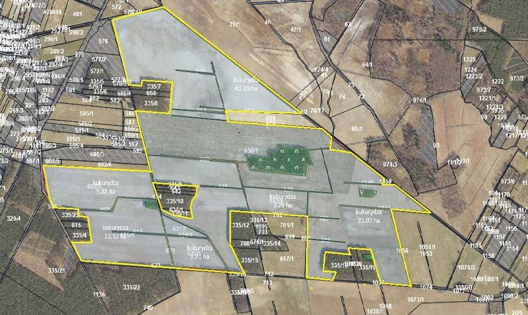 Działka rolna Koźla. Zdjęcie 2