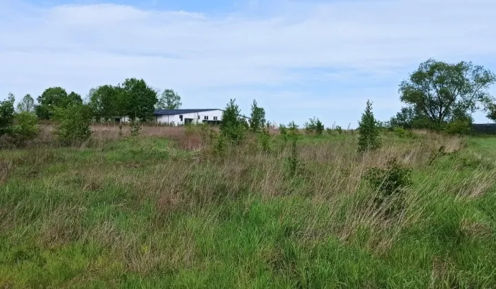 Działka budowlana Grabów nad Pilicą, ul. Parkowa