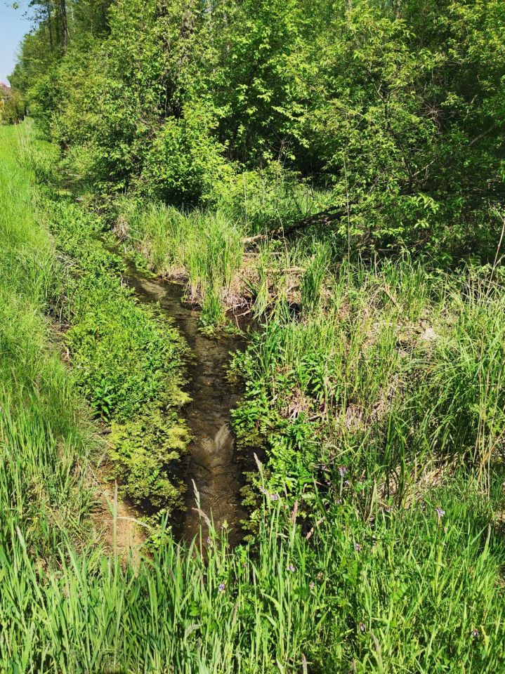 Działka leśna Ośrodek-Wyżnica. Zdjęcie 4