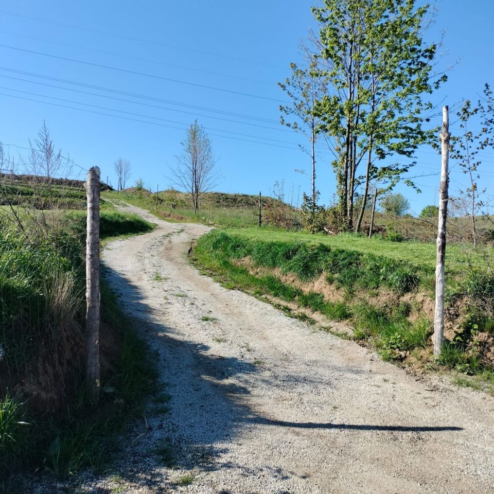 Działka budowlana Świebodzice, ul. Zimny Dwór. Zdjęcie 2