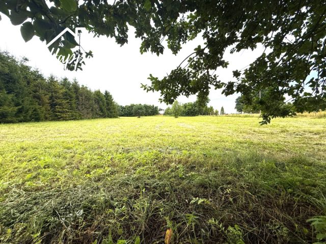 Działka inwestycyjna Rzeczenica, os. Wybudowanie. Zdjęcie 12