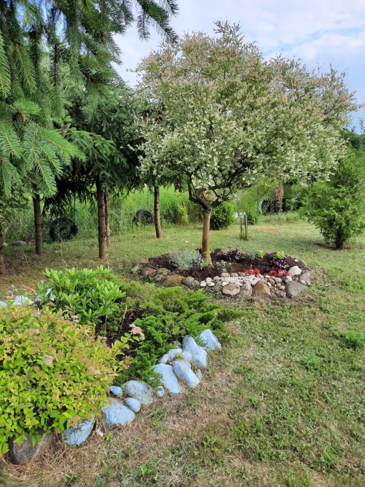 Działka budowlana Drezdenko Radowo, ul. Osiedla Leśnego. Zdjęcie 5