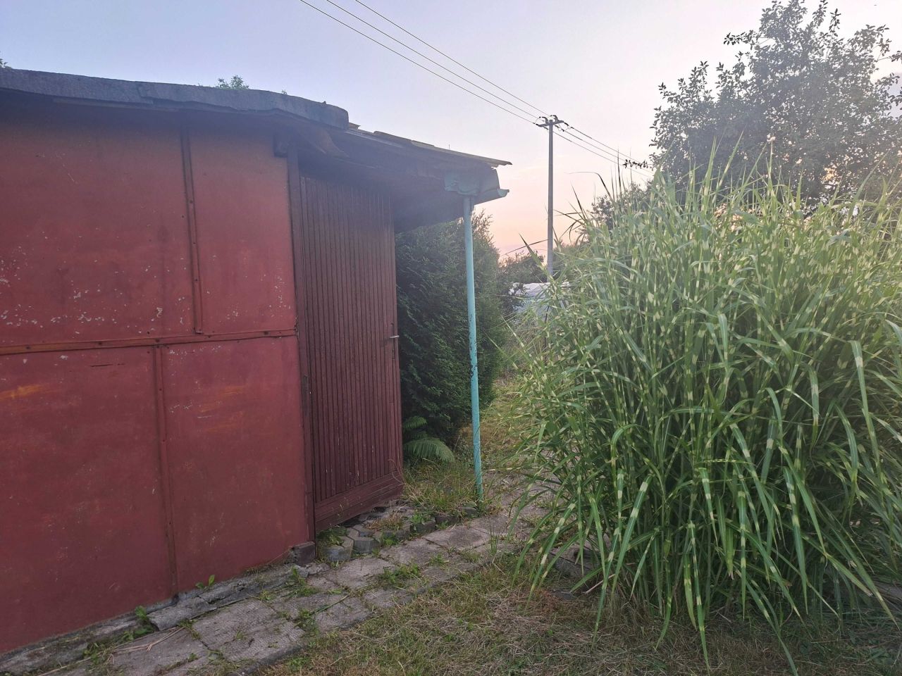 Działka rod Radlin. Zdjęcie 2