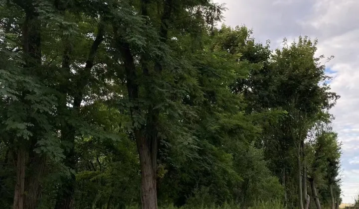Działka budowlana Staw