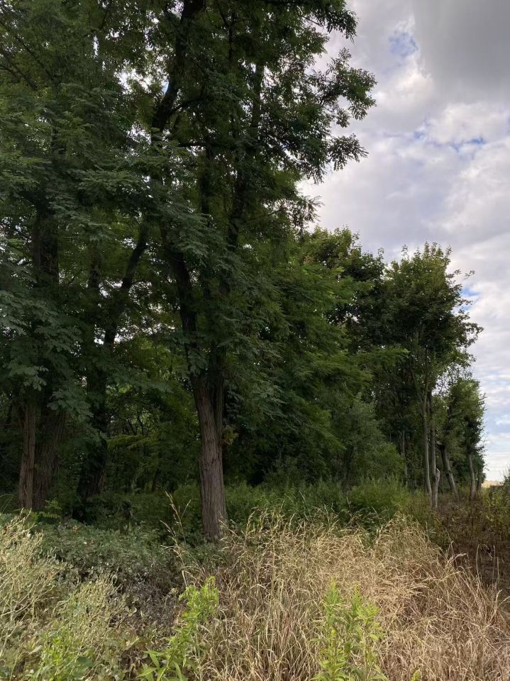 Działka budowlana Staw. Zdjęcie 1