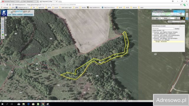 Działka rolna Nowina. Zdjęcie 2