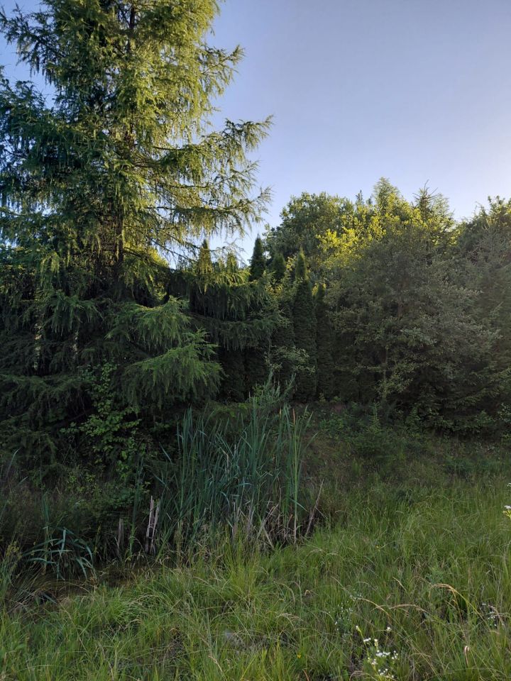 dom wolnostojący, 4 pokoje Gostwica. Zdjęcie 17