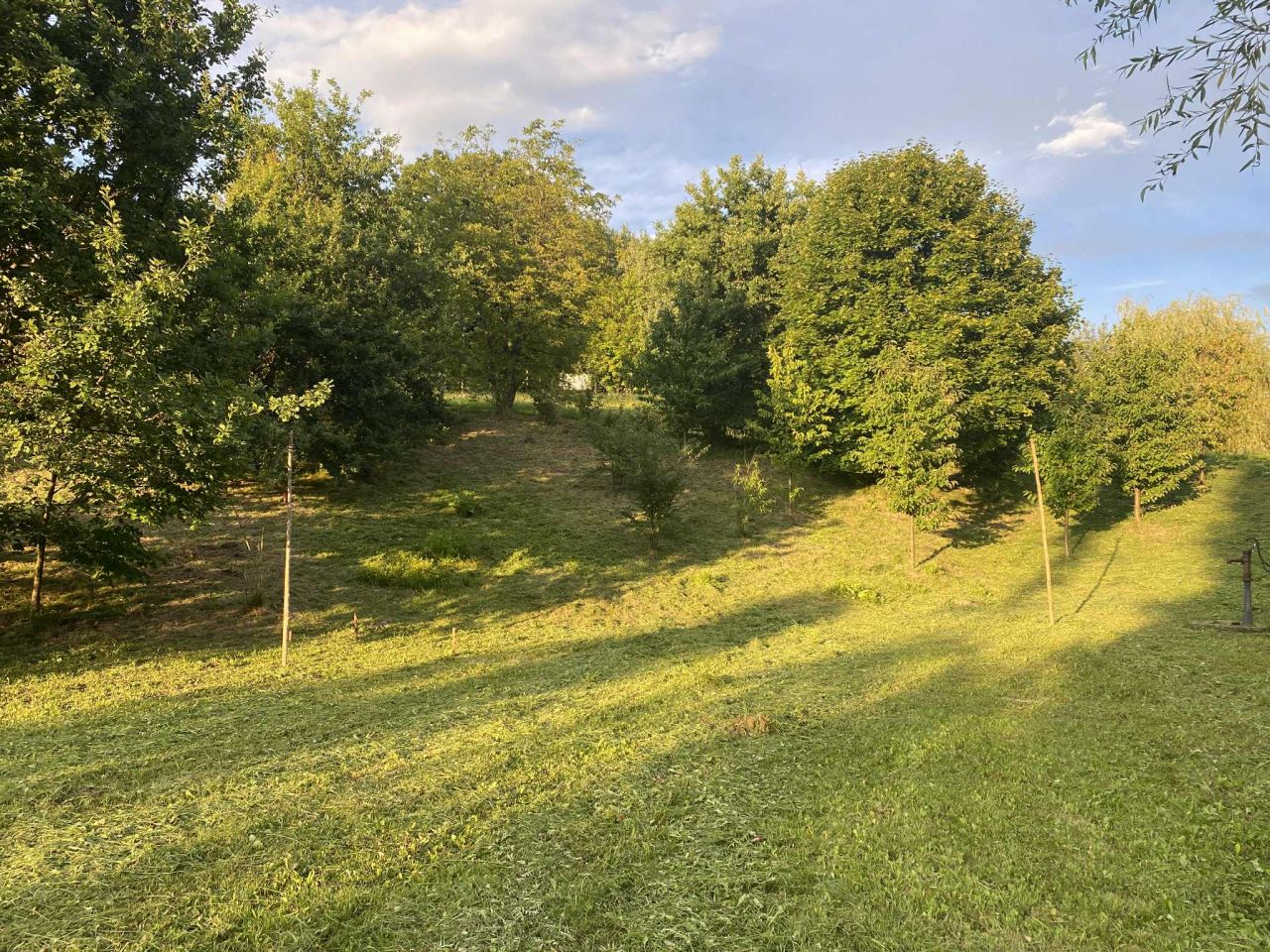 Działka rolna Szczepanowice. Zdjęcie 13