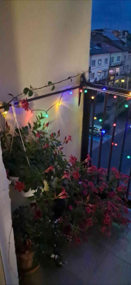 Mieszkanie 2-pokojowe Rypin, ul. ks. Cz. Lissowskiego. Zdjęcie 12