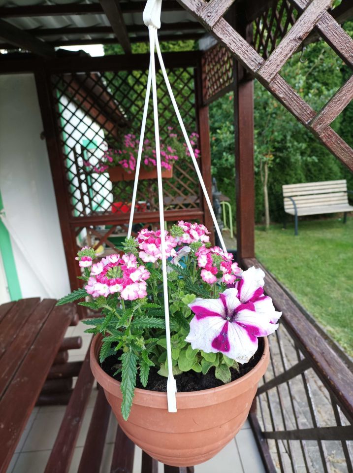 Działka rod Lwówek Śląski. Zdjęcie 8