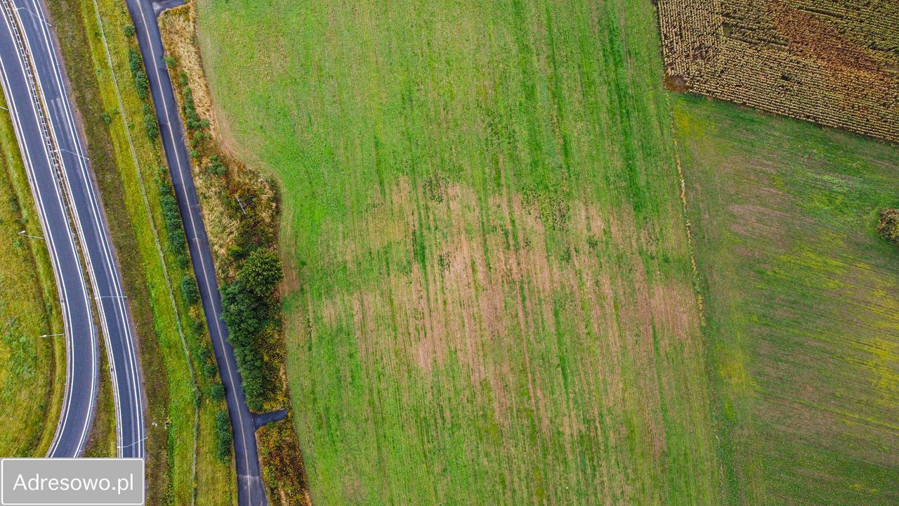 Działka inwestycyjna Słupia pod Bralinem. Zdjęcie 6