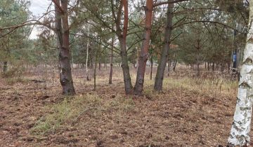 Działka budowlana Nowe Budy, ul. Sosnowa