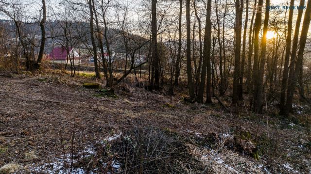 Działka budowlana Roztoka-Brzeziny. Zdjęcie 14