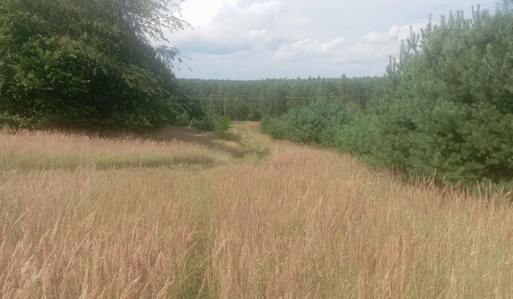 Działka rolna Strzelczyki