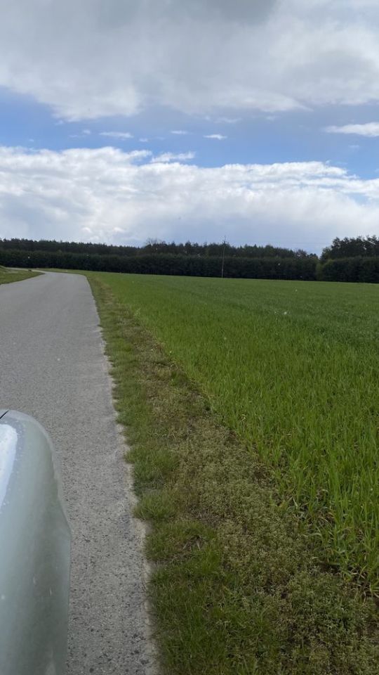 Działka budowlana Borowa. Zdjęcie 3