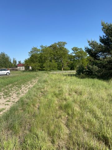 Działka rolno-budowlana Brzozówka. Zdjęcie 1