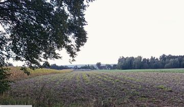 Działka rolna Kurznie, ul. Adama Mickiewicza