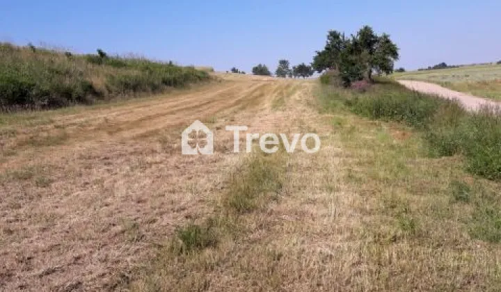 Działka budowlana Goszczyno