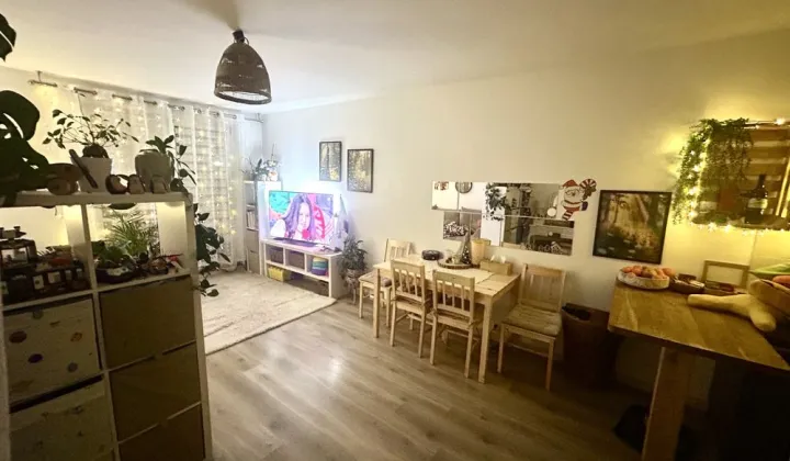 Mieszkanie 1-pokojowe Piaseczno, ul. Strusia