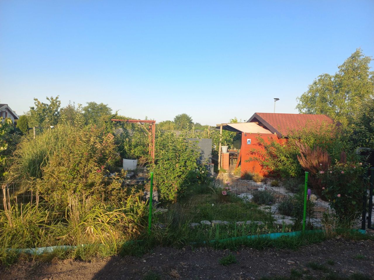 Działka rod Gliwice Łabędy, ul. Klasztorna. Zdjęcie 2
