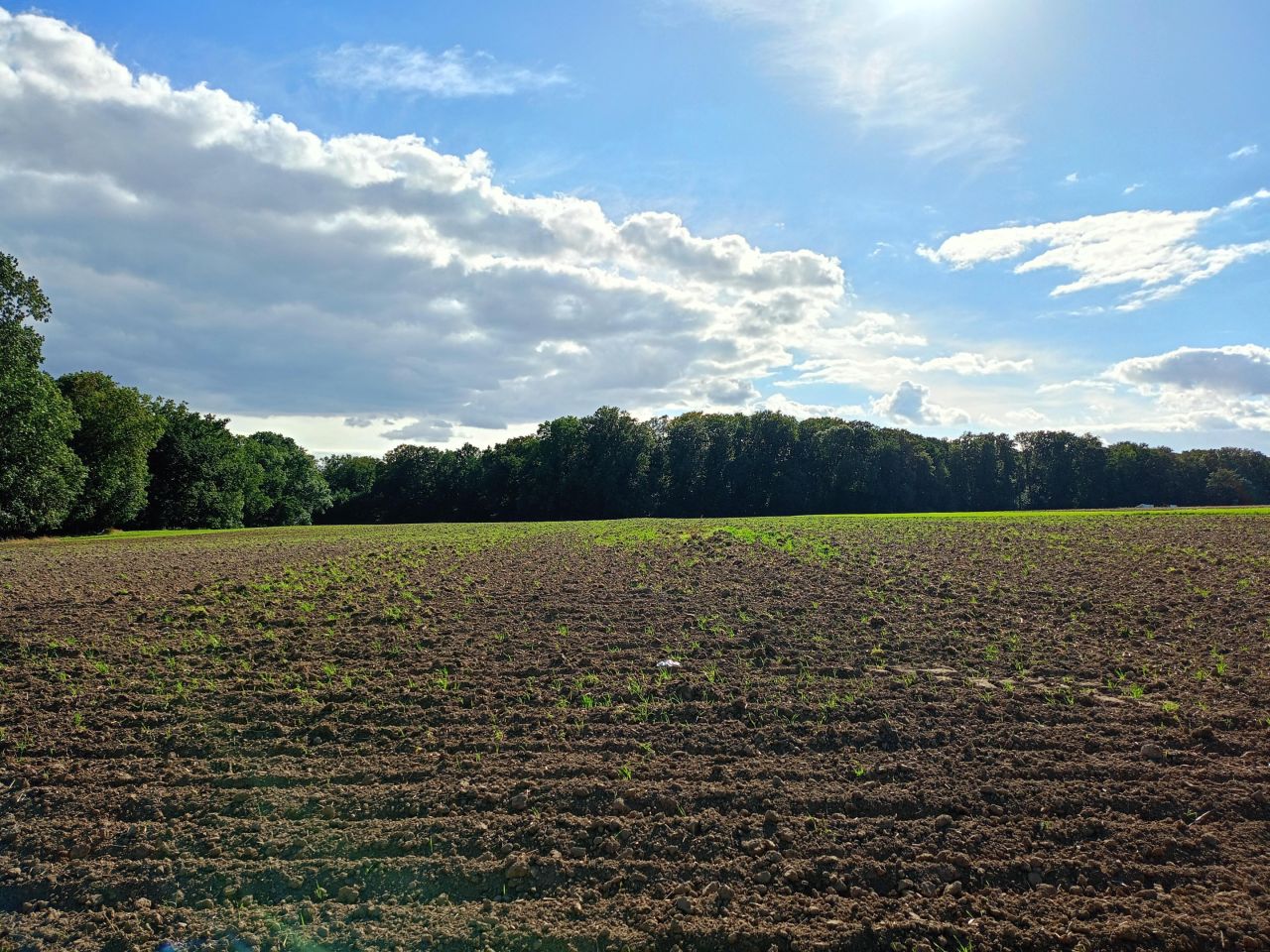 Działka budowlana Włocławek Zawiśle , ul. Dobrzyńska. Zdjęcie 3