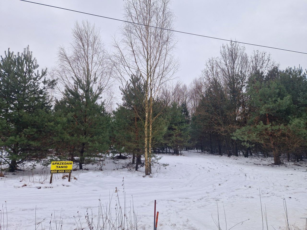 Działka budowlana Wilcza Wólka, ul. Grójecka. Zdjęcie 3