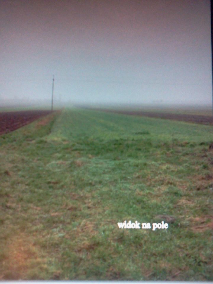 Działka rolno-budowlana Tczów. Zdjęcie 5