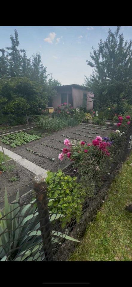 Działka rod Zabrze Centrum, ul. Gdańska. Zdjęcie 3