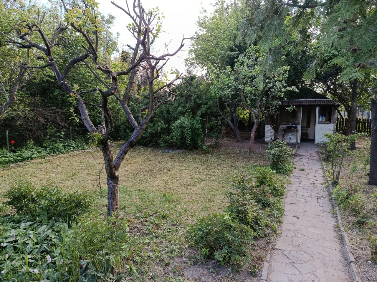 Działka rod Warszawa Praga-Północ, Jagiellońska 61a. Zdjęcie 7