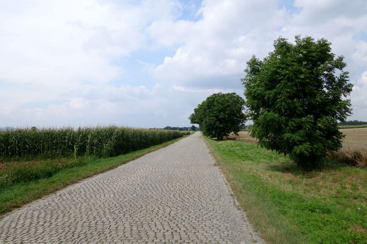 Działka inwestycyjna Tyniec nad Ślęzą. Zdjęcie 4