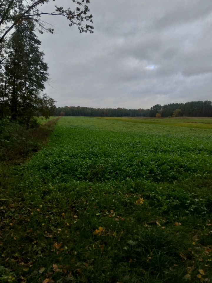 Działka rolno-budowlana Ruda. Zdjęcie 1