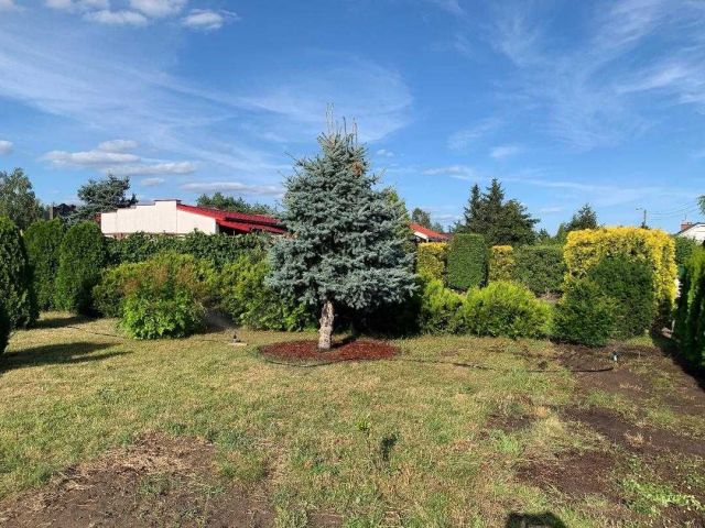 Działka rekreacyjna Nowe Dąbie. Zdjęcie 1