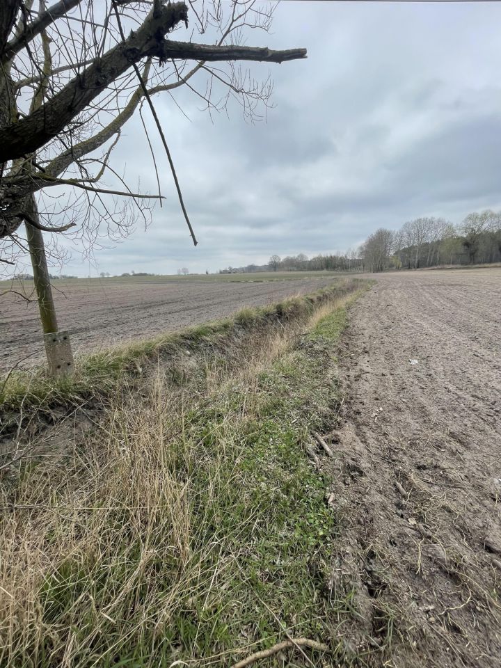 Działka rolno-budowlana Sienno. Zdjęcie 8