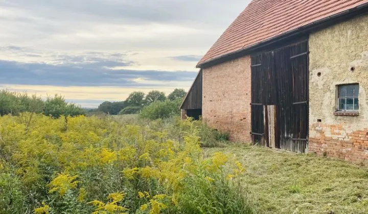 dom wolnostojący Wysokie