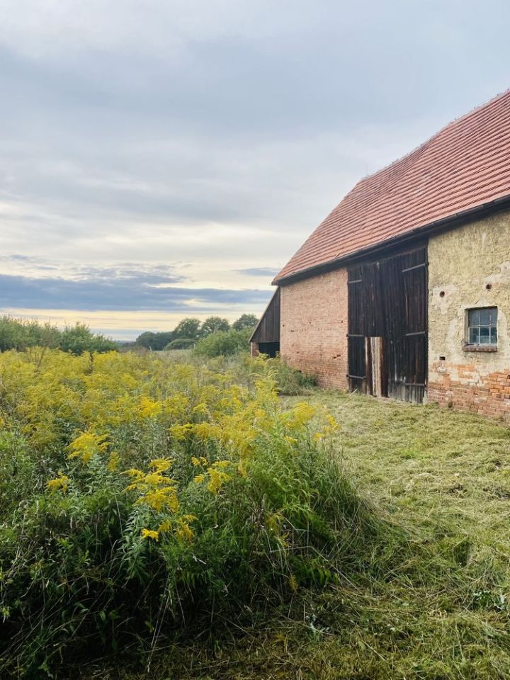 Dom Wysokie, bez pośrednika - 122 m² - 339 000 zł