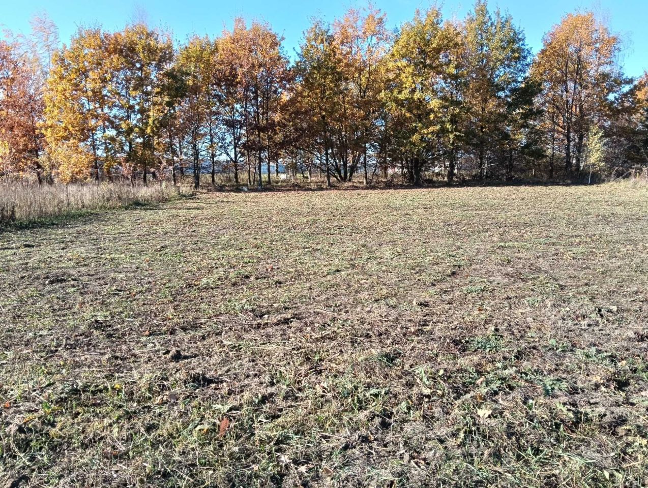 Działka budowlana Gręzów, ul. Wysoka