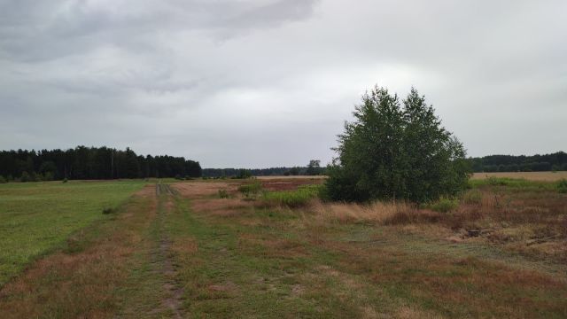 Działka budowlana Michałów, ul. Makowa. Zdjęcie 1