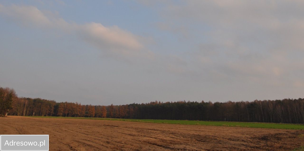 Działka rolno-budowlana Radzewo. Zdjęcie 7